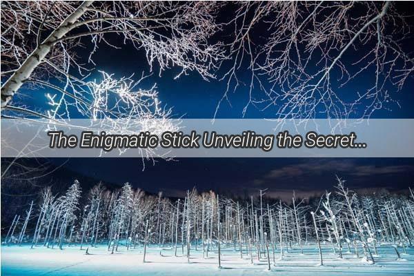 The Enigmatic Stick Unveiling the Secrets Behind the Elderly Mans Vision in Dreams